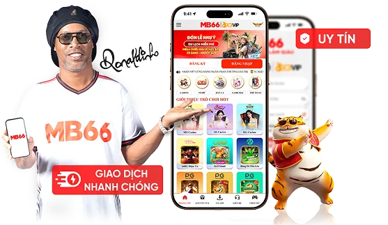 Giấy phép và quy định hoạt động