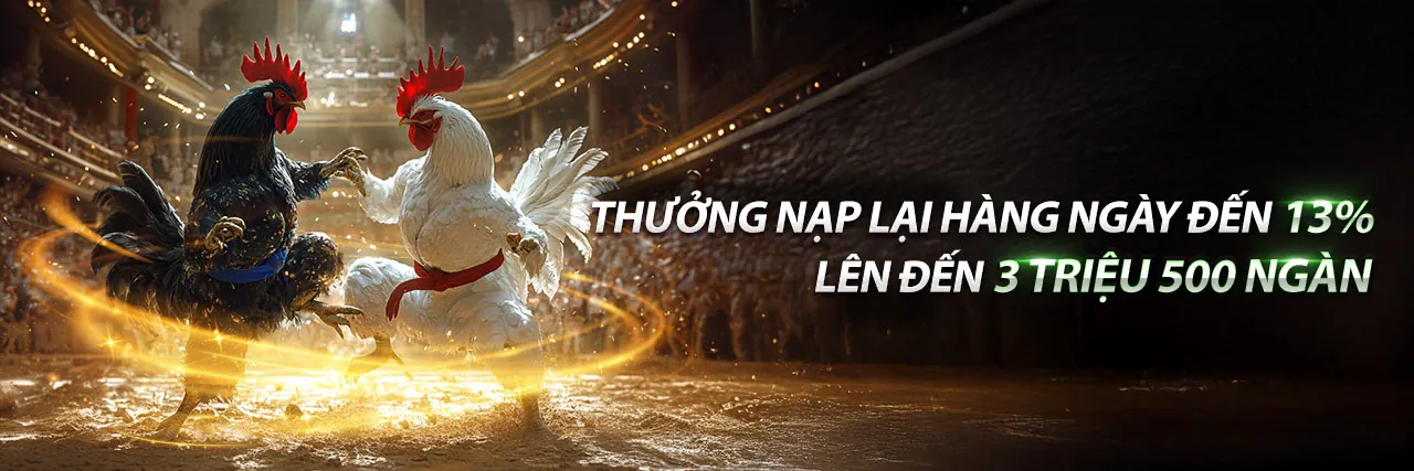 Sân đấu đá gà trực tuyến tại xoso1234 trang chủ chính thức