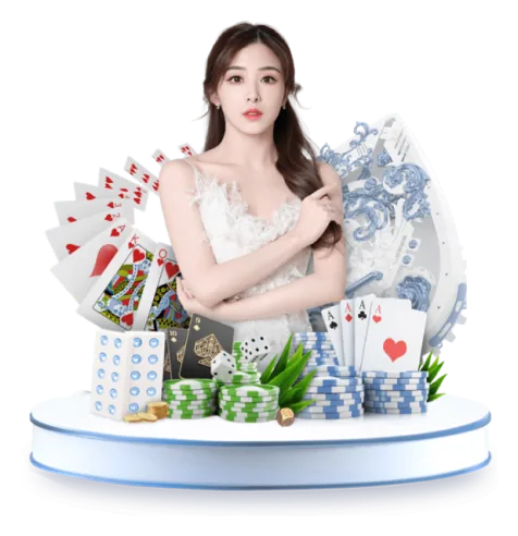 Gà chiến với cựa dao sắc bén